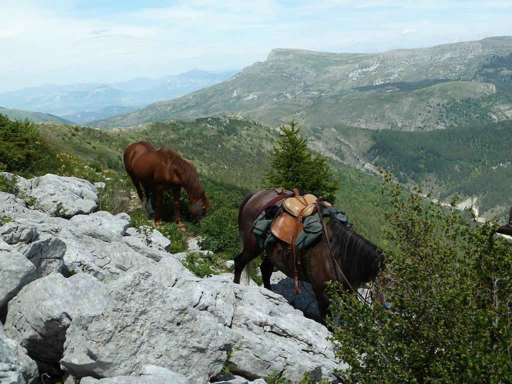 Gite Des Monges Систерон Экстерьер фото