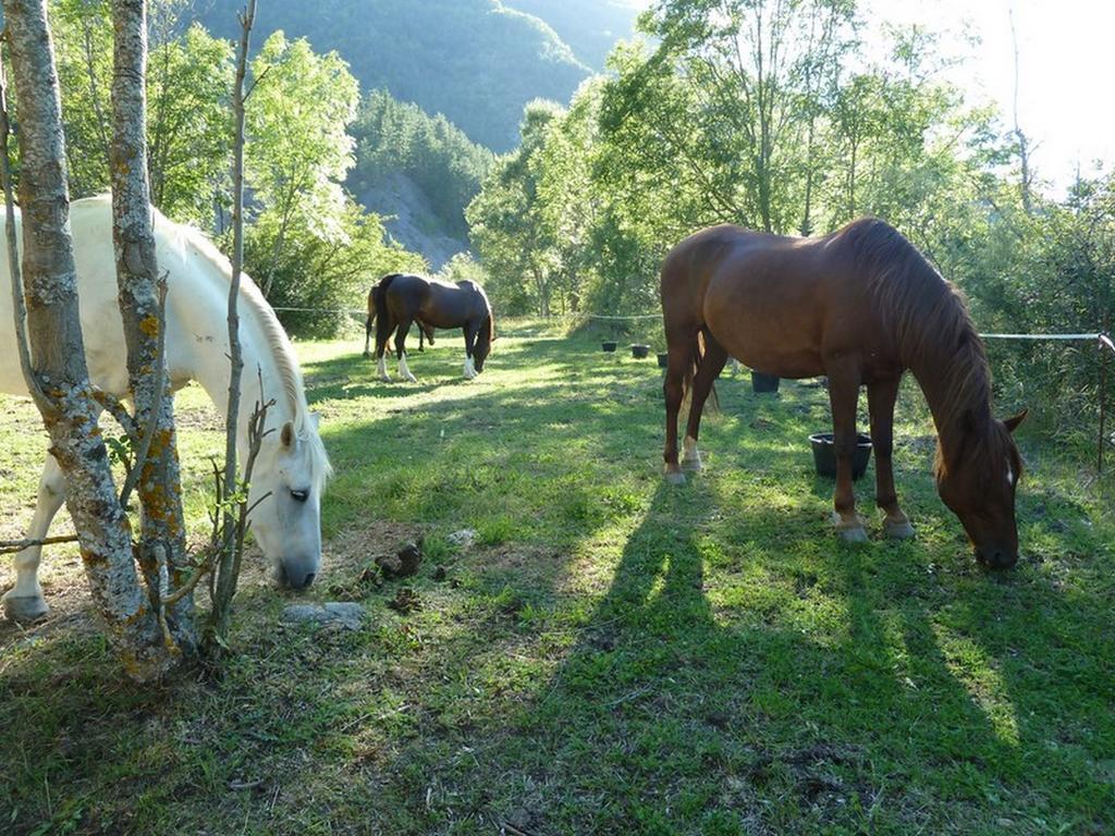 Gite Des Monges Систерон Экстерьер фото